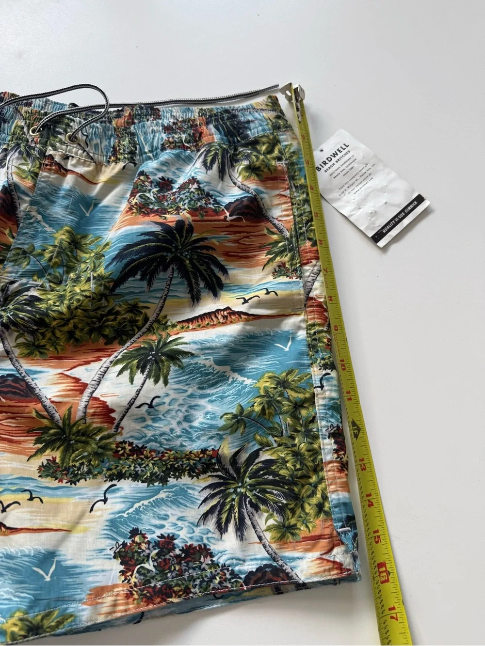 Birdwell Men’s Tropical Swim Shorts in Blue & Green
